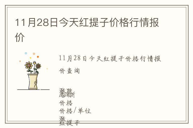 11月28日今天紅提子價格行情報價