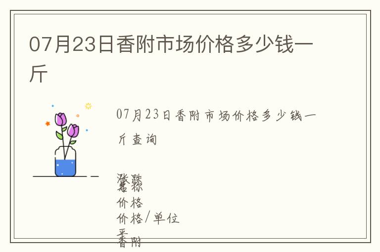 07月23日香附市場價格多少錢一斤
