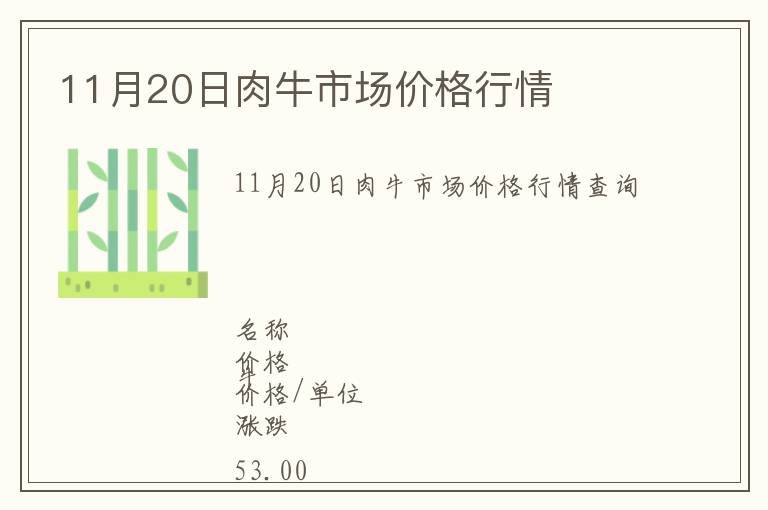 11月20日肉牛市場價格行情
