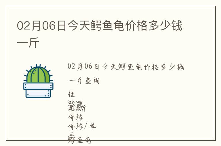 02月06日今天鱷魚龜價格多少錢一斤
