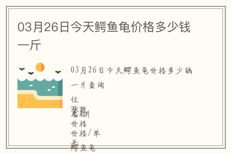 03月26日今天鱷魚龜價(jià)格多少錢一斤