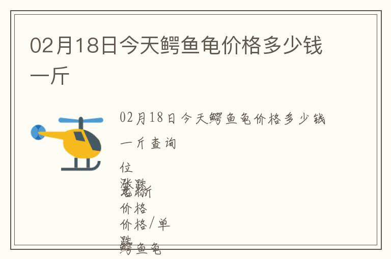 02月18日今天鱷魚龜價格多少錢一斤