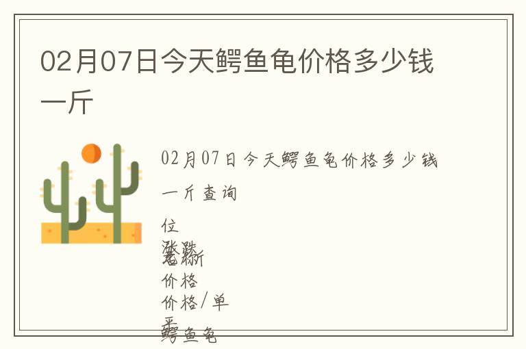 02月07日今天鱷魚(yú)龜價(jià)格多少錢(qián)一斤