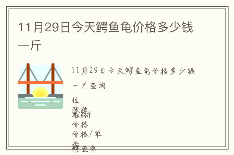 11月29日今天鱷魚龜價格多少錢一斤