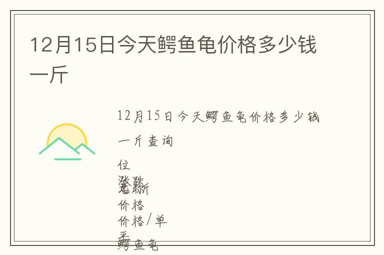 12月15日今天鱷魚龜價(jià)格多少錢一斤