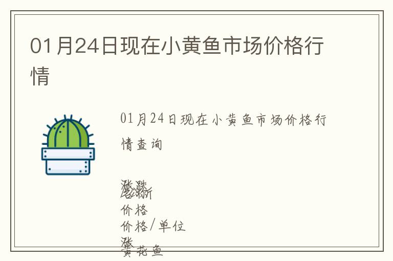 01月24日現(xiàn)在小黃魚市場價(jià)格行情