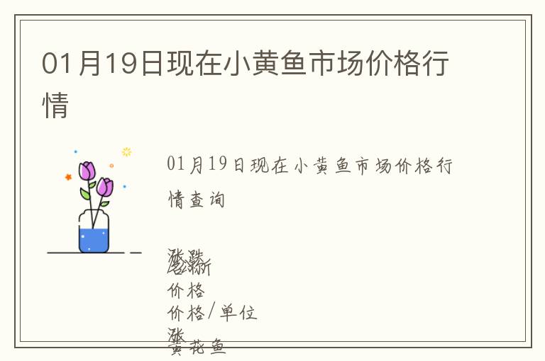 01月19日現(xiàn)在小黃魚市場(chǎng)價(jià)格行情