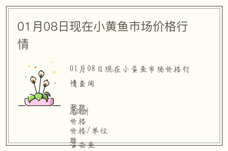 01月08日現(xiàn)在小黃魚市場價格行情