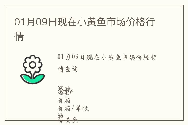 01月09日現在小黃魚市場價格行情