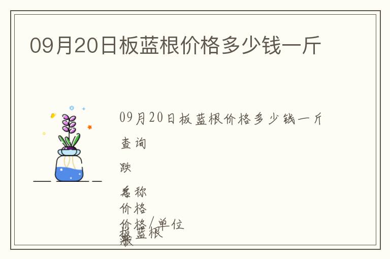 09月20日板藍根價格多少錢一斤