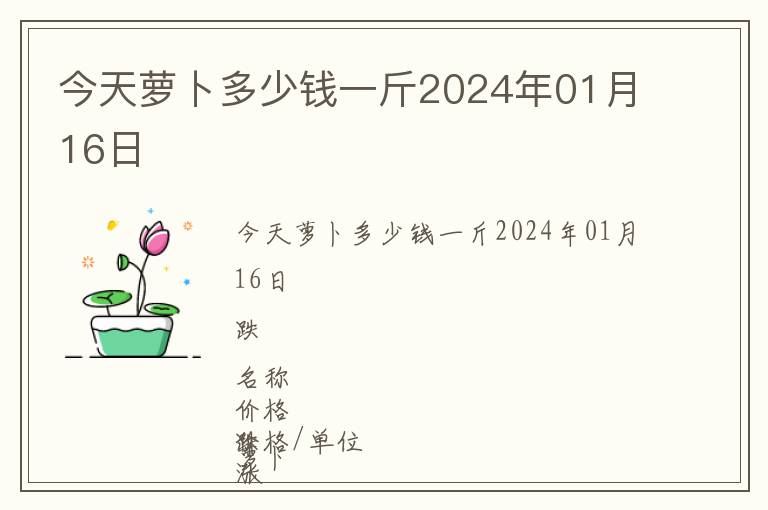 今天蘿卜多少錢一斤2024年01月16日
