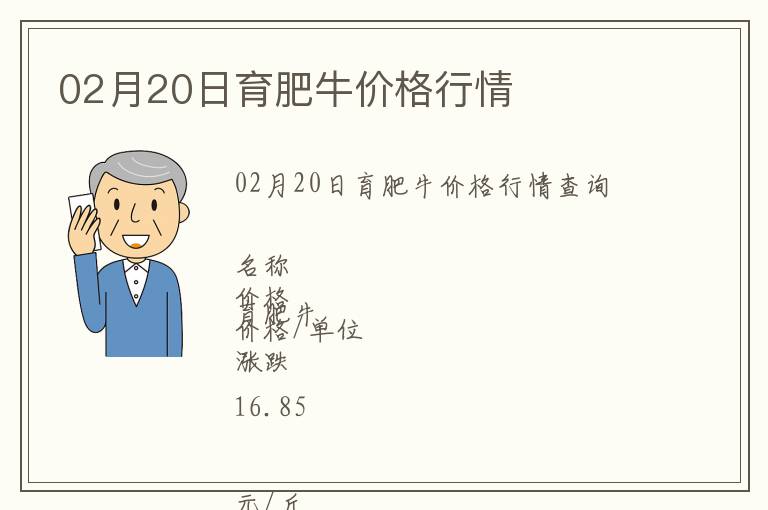 02月20日育肥牛價格行情