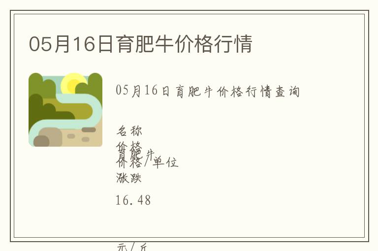 05月16日育肥牛價格行情