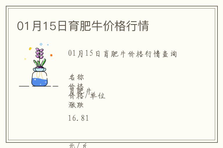 01月15日育肥牛價格行情