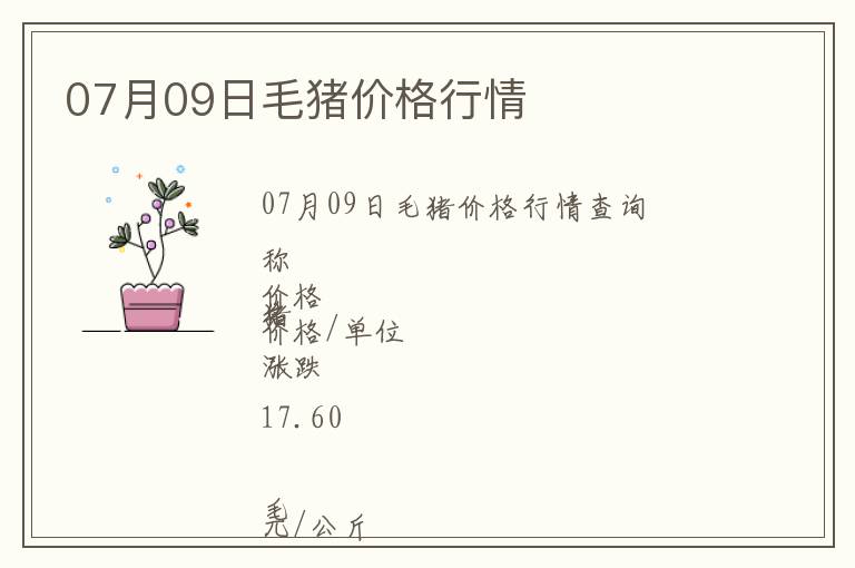 07月09日毛豬價(jià)格行情