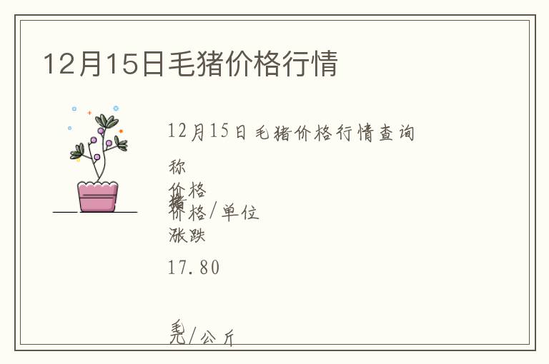 12月15日毛豬價格行情