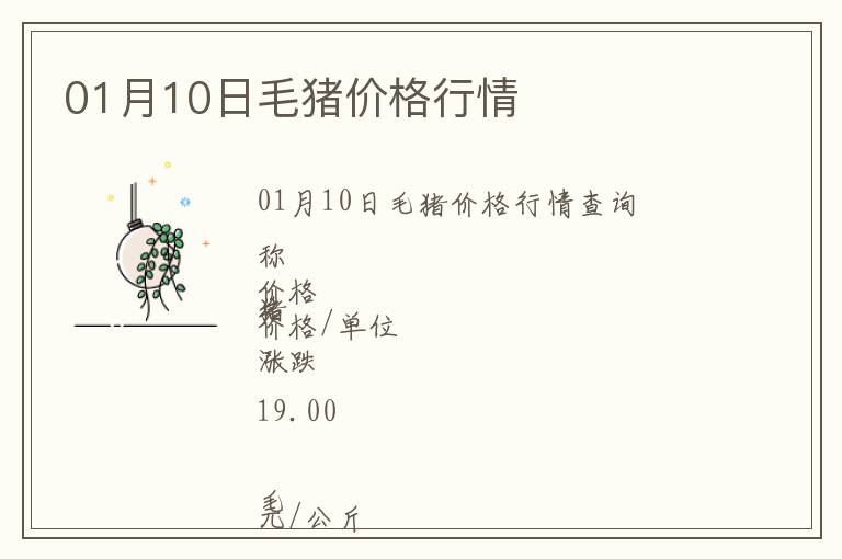 01月10日毛豬價格行情