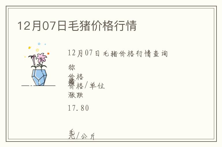 12月07日毛豬價格行情