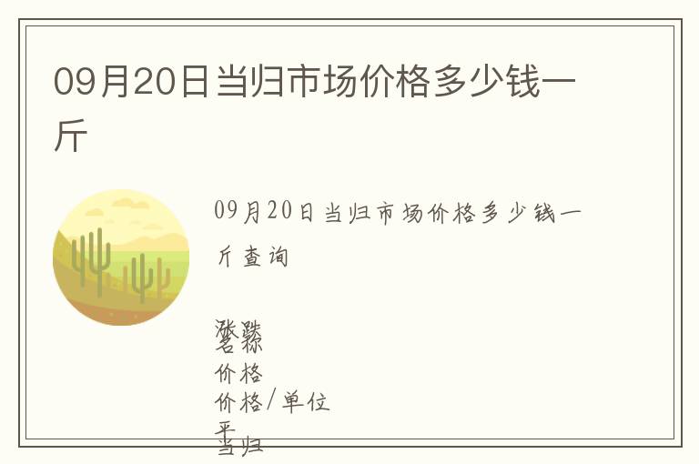 09月20日當(dāng)歸市場(chǎng)價(jià)格多少錢(qián)一斤
