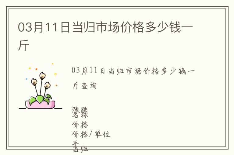 03月11日當(dāng)歸市場價格多少錢一斤