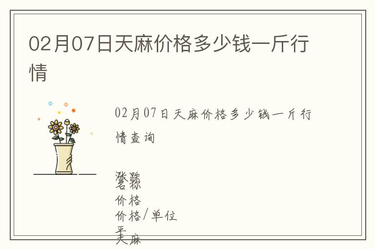 02月07日天麻價格多少錢一斤行情