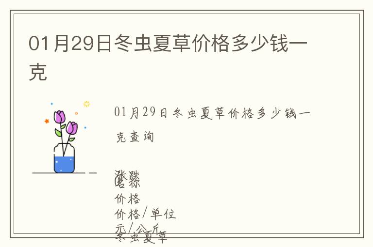 01月29日冬蟲(chóng)夏草價(jià)格多少錢(qián)一克