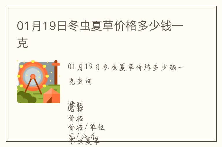 01月19日冬蟲夏草價格多少錢一克