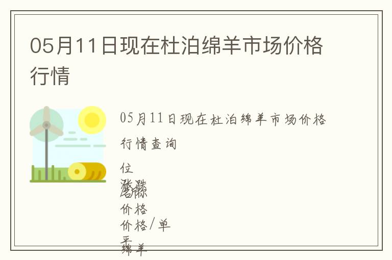 05月11日現在杜泊綿羊市場價格行情