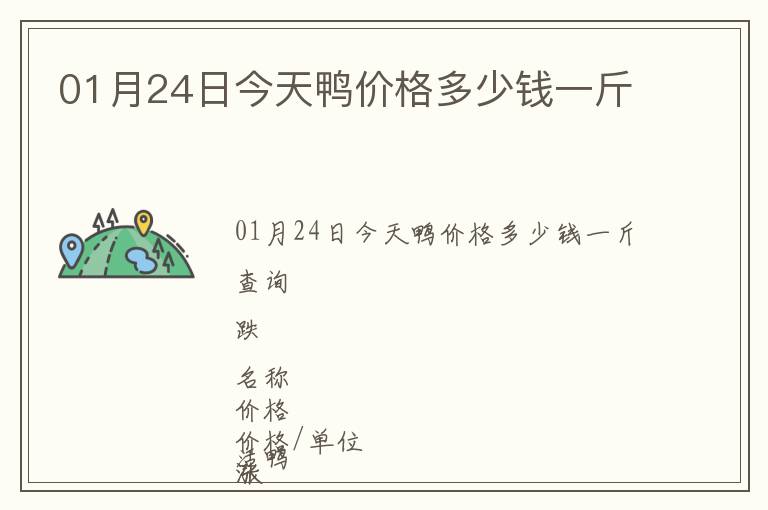 01月24日今天鴨價格多少錢一斤