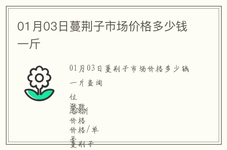 01月03日蔓荊子市場(chǎng)價(jià)格多少錢(qián)一斤