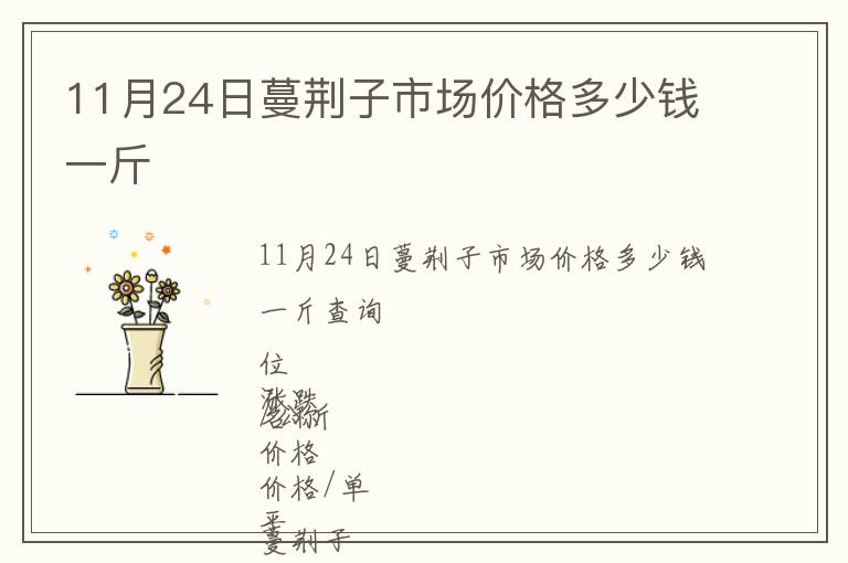 11月24日蔓荊子市場(chǎng)價(jià)格多少錢(qián)一斤
