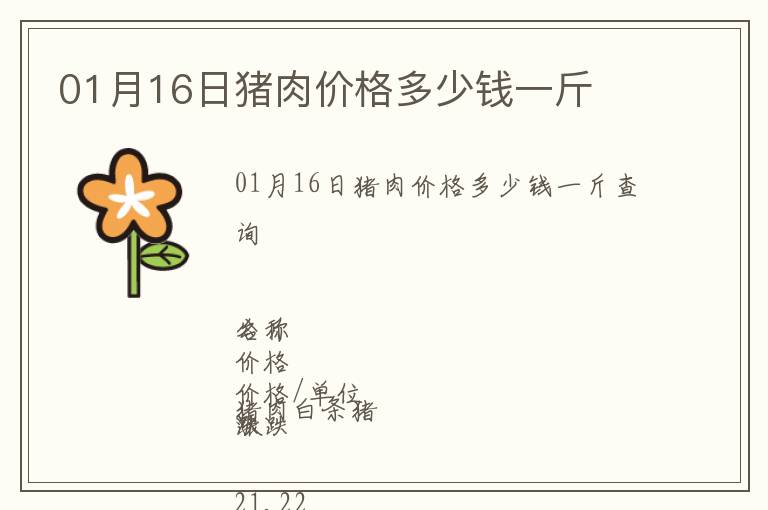 01月16日豬肉價(jià)格多少錢一斤