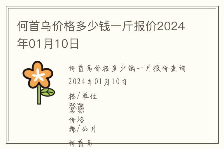 何首烏價(jià)格多少錢(qián)一斤報(bào)價(jià)2024年01月10日